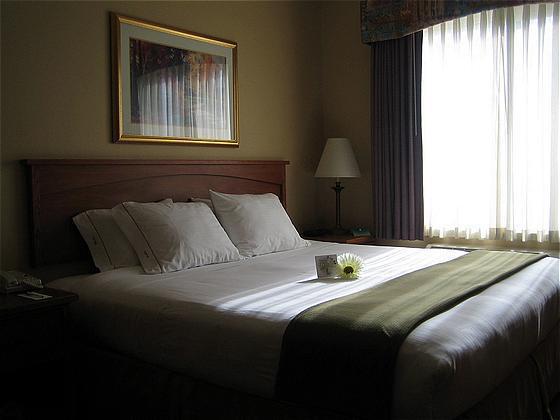 Holiday Inn Express Vancouver North By Ihg Rom bilde